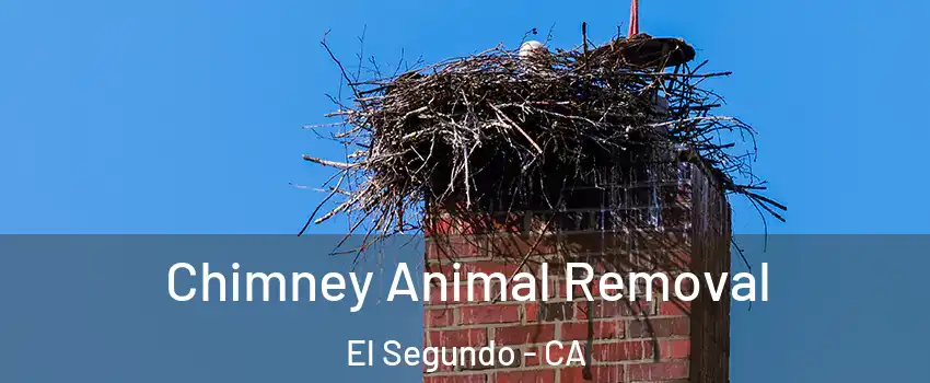  Chimney Animal Removal El Segundo - CA