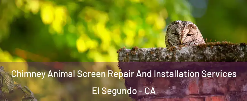 Chimney Animal Screen Repair And Installation Services El Segundo - CA